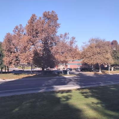 Partner Dog Park photo 1